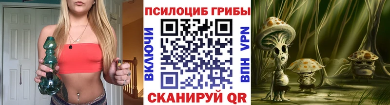 купить наркотики сайты  Реутов  Псилоцибиновые грибы Cubensis 